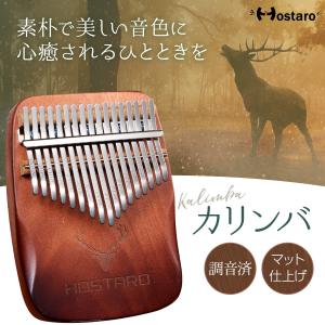 Hostaro カリンバ 親指ピアノ kali...の詳細画像1