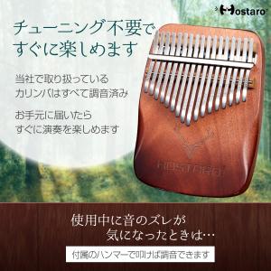Hostaro カリンバ 親指ピアノ kali...の詳細画像2