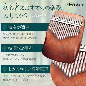 Hostaro カリンバ 親指ピアノ kali...の詳細画像4