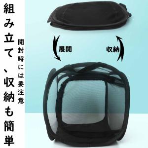 Emoi 虫かご 蝶 メッシュ 大 折りたたみ...の詳細画像4