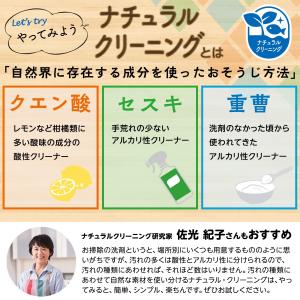 レック 【激落ちくん】 セスキ キッチンクリー...の詳細画像5