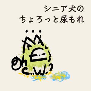 WICKEDPUP 犬用おむつライナー、100...の詳細画像3