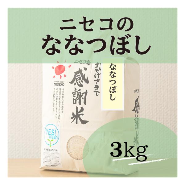北海道ニセコ猪狩農園のななつぼし3kg【全国送料込】