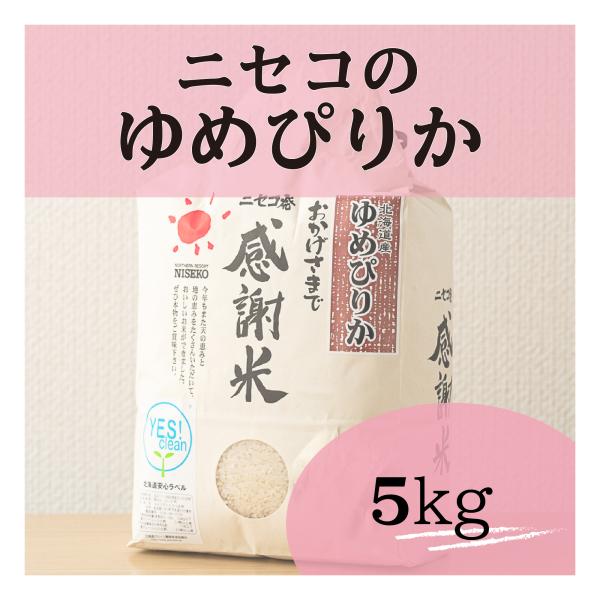 北海道ニセコ猪狩農園のゆめぴりか5kg【全国送料込】
