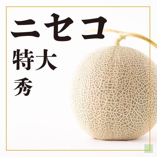 【全国送料込・予約商品】北海道ニセコの「ようていメロン」特大サイズ（秀）　1玉2.0〜2.3Kg ｘ...