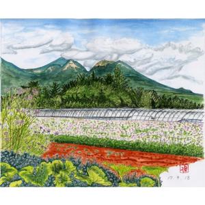 油絵 北川 照生 号／8万9千円『 白川郷 』F10号 油彩画 絵画