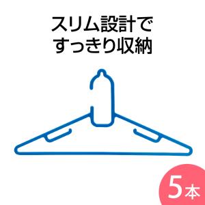 洗濯ハンガー ピンチハンガー 物干しハンガー ラ...の商品画像
