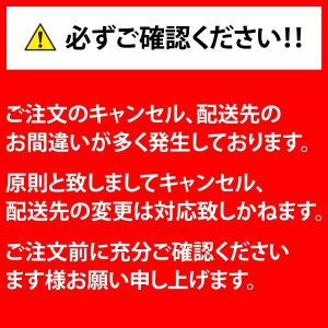 洗濯ハンガー ピンチハンガー 物干しハンガー ...の詳細画像5