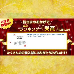 ピンチハンガー 30ピンチ 洗濯ハンガー ピン...の詳細画像1