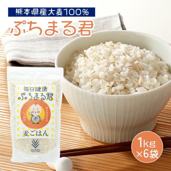 ぷちまる君 もち麦 1kg 6袋 熊本県産 大麦100% ぷちぷち もっちり 麦ごはん 食物繊維 も...