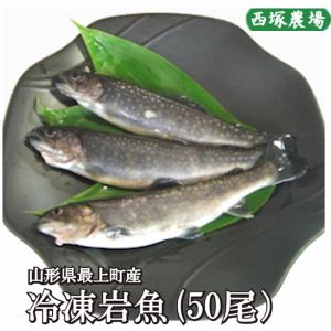 【送料無料】冷凍岩魚 50匹（腹抜き) 　焼き魚・揚げ物に最適な大きさ