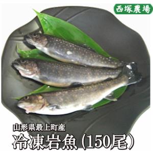 【送料無料】冷凍岩魚 150匹（腹抜き) 　焼き魚・揚げ物に最適な大きさ