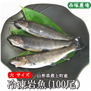 【数量限定,送料無料】冷凍岩魚 100匹（大サイズ 腹抜き)　焼き魚・揚げ物に最適な大きさ
