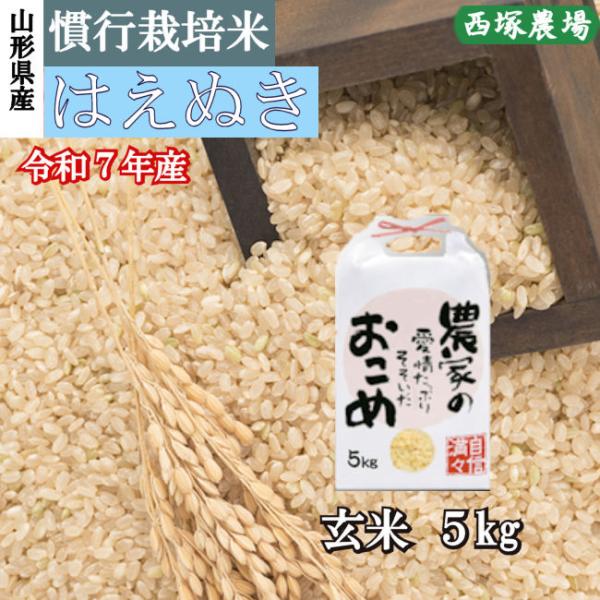 【送料無料】新米 慣行栽培米はえぬき岩魚米 （令和7年産）玄米 5kg