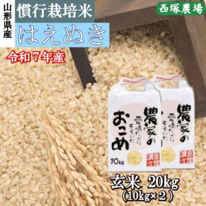 慣行栽培米はえぬき岩魚米 （令和7年産）玄米 20kg