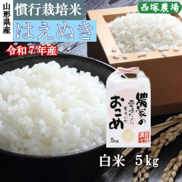 【送料無料】慣行栽培米はえぬき岩魚米 （令和7年産）白米 5kg