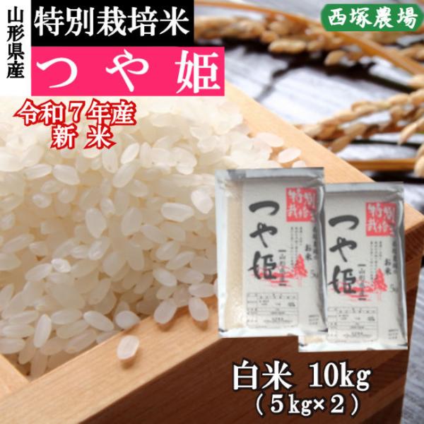 新米 特別栽培米つや姫 （令和7年産）白米 10kg