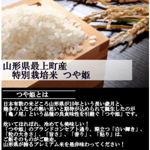 特別栽培米つや姫 (令和5年産)白米 10kgの詳細画像3
