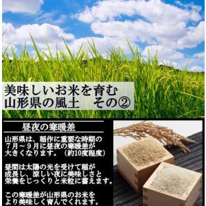 特別栽培米つや姫 (令和5年産)白米 10kgの詳細画像5