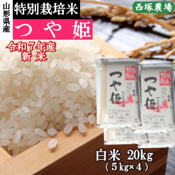 新米 特別栽培米つや姫 （令和7年産）白米 20kg