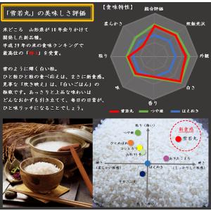 【新米】雪若丸 (令和8年産)玄米 20kgの詳細画像1