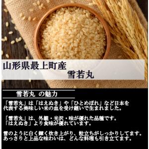 【新米】雪若丸 (令和8年産)玄米 20kgの詳細画像3