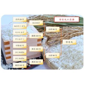 【新米】雪若丸 (令和8年産)玄米 20kgの詳細画像4