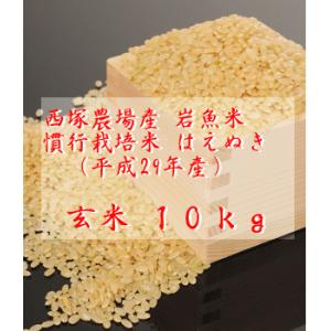 慣行栽培米はえぬき岩魚米 （平成29年産）玄米 10kg