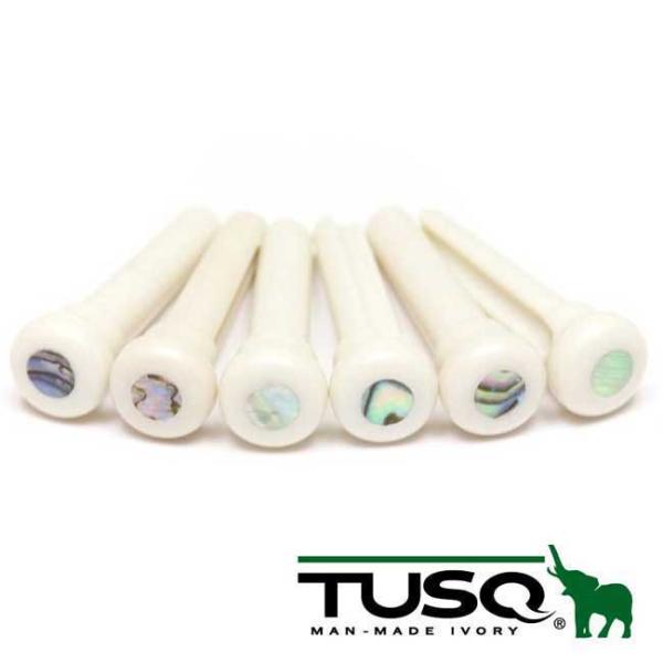 TUSQ（タスク）人工象牙ブリッジピン Presentationスタイル Taylor・Larriv...