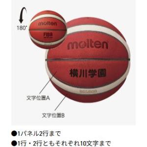 【ネーム加工可】モルテン molten ミニバ...の詳細画像1