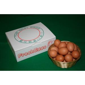 とれたて新鮮平飼い有精卵20個入りの商品画像