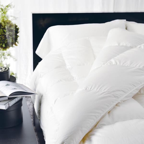 100年羽毛 羽毛肌掛けふとん 春夏用 昭和西川 ソリッド 80サテン ハンガリー産ホワイトグースダ...