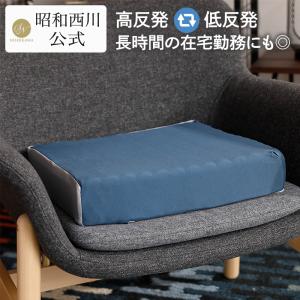 クッション ツインフォームクッション 昭和西川公式 　年間 春夏秋秋冬 健康応援　両面使用　リバーシブル 40×40cm