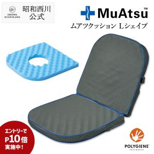 テンピュール 正規品 シートクッション 厚み5cm ヒップ