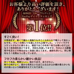 毛布 暖かい シングル 西川 ブランケット 軽...の詳細画像1