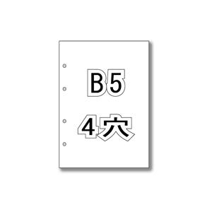 白紙元帳 穴あき用紙 B5 4穴 2500枚入PW