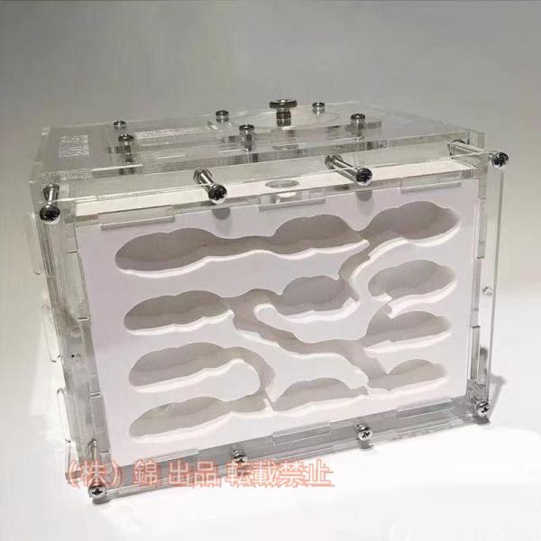 アリの巣観察キット 大きい 石膏製巣箱 保湿性がよい 株式会社錦 自由研究 蟻 観察 飼育 実験 小...