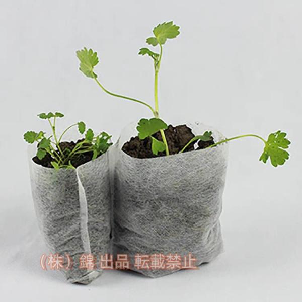 100個の不織布苗ポットバッグ 生分解性環境に優しい白い植栽バッグ保育園バッグ植物生地成長株式会社錦...