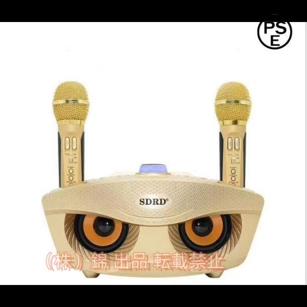 手持ちマイク2本セット Bluetooth カラオケマイク 株式会社錦ワイヤレスマイク多機能 ノイズ...