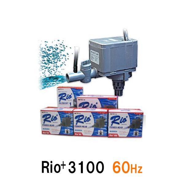 カミハタ リオプラスパワーヘッド Rio+3100 60Hz 2点目より700円引