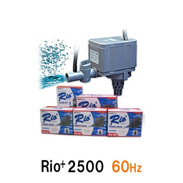 カミハタ リオプラスパワーヘッド Rio+2500 60Hz 2点目より700円引