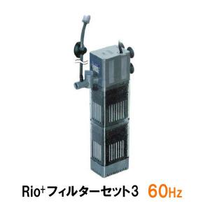 カミハタ リオプラスパワーヘッド Rio+フィルターセット3 60Hz 2点目より700円引｜nishikigoiootani