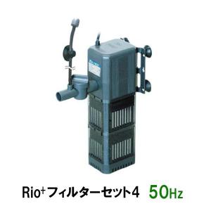 カミハタ リオプラスパワーヘッド Rio+フィルターセット4 50Hz 2点目より700円引｜nishikigoiootani