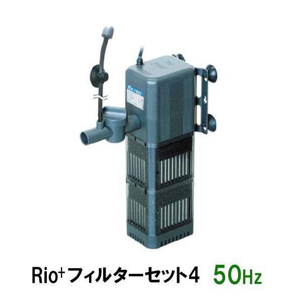 カミハタ リオプラスパワーヘッド Rio+フィルターセット4 50Hz