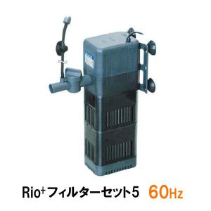 カミハタ リオプラスパワーヘッド Rio+フィルターセット5 60Hz 2点目より700円引｜nishikigoiootani