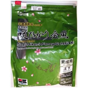 nishikigoiootani_10005712