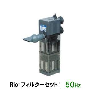 ▽カミハタ リオプラスパワーヘッド Rio+フィルターセット1 50Hz 2点目より700円引｜nishikigoiootani