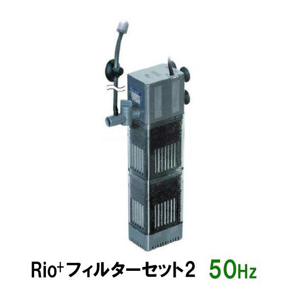 カミハタ リオプラスパワーヘッド Rio+フィルターセット2 50Hz