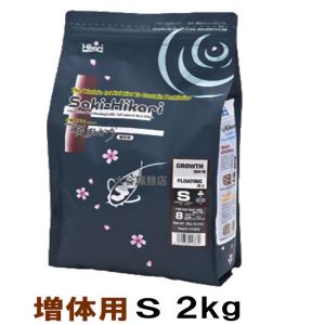 nishikigoiootani_10008407