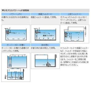 ▽カミハタ リオ Rio+1700 50Hz ...の詳細画像3